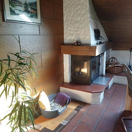 Aussergewoehnliche Atelierferienwohnung Mit Balkon An Der Donau Winzer Exterior foto