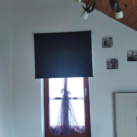 Aussergewoehnliche Atelierferienwohnung Mit Balkon An Der Donau Winzer Exterior foto