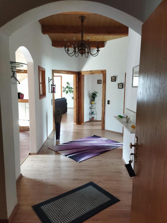 Aussergewoehnliche Atelierferienwohnung Mit Balkon An Der Donau Winzer Exterior foto