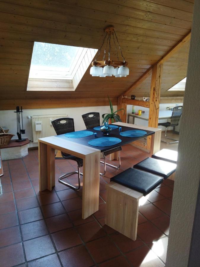 Aussergewoehnliche Atelierferienwohnung Mit Balkon An Der Donau Winzer Exterior foto
