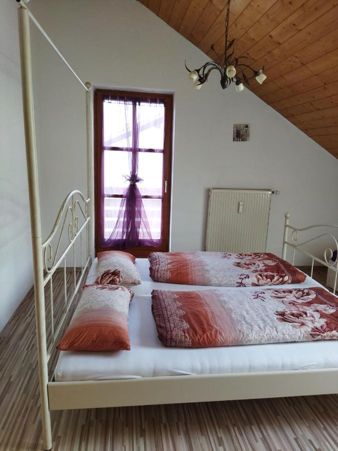Aussergewoehnliche Atelierferienwohnung Mit Balkon An Der Donau Winzer Exterior foto
