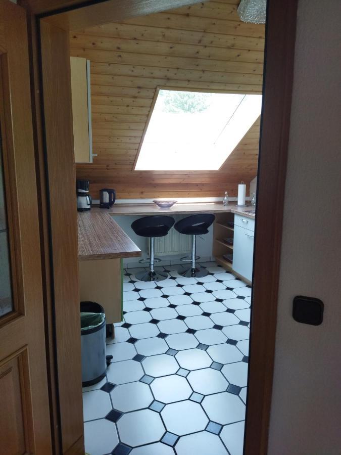 Aussergewoehnliche Atelierferienwohnung Mit Balkon An Der Donau Winzer Exterior foto