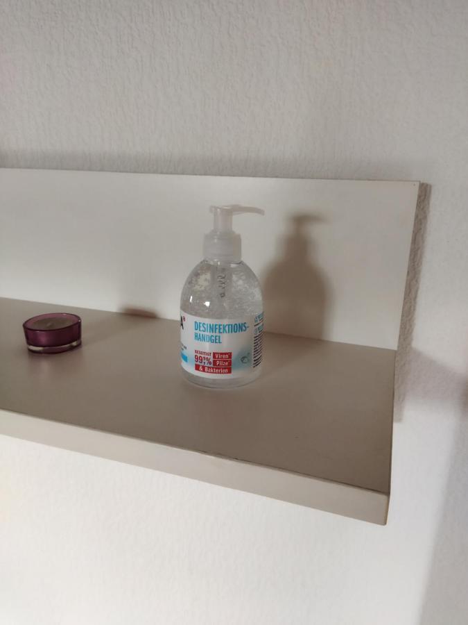 Aussergewoehnliche Atelierferienwohnung Mit Balkon An Der Donau Winzer Exterior foto
