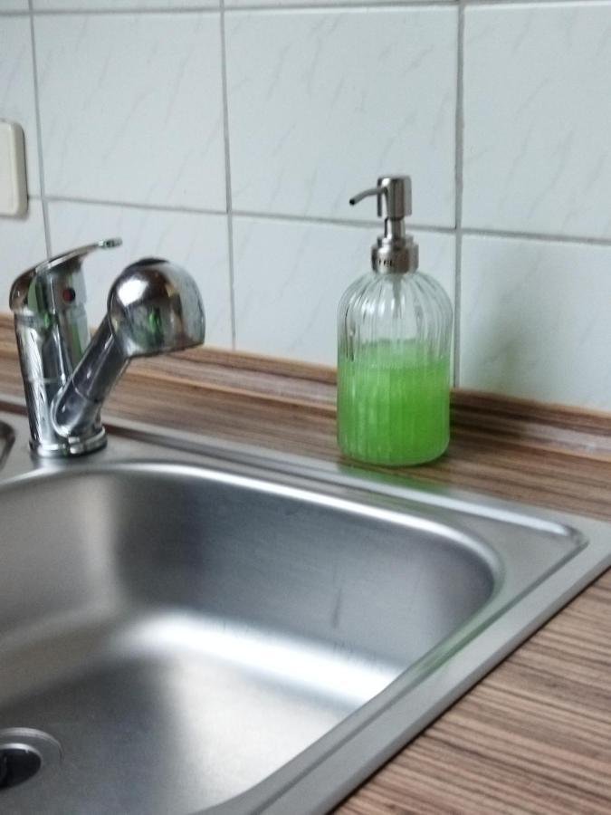 Aussergewoehnliche Atelierferienwohnung Mit Balkon An Der Donau Winzer Exterior foto