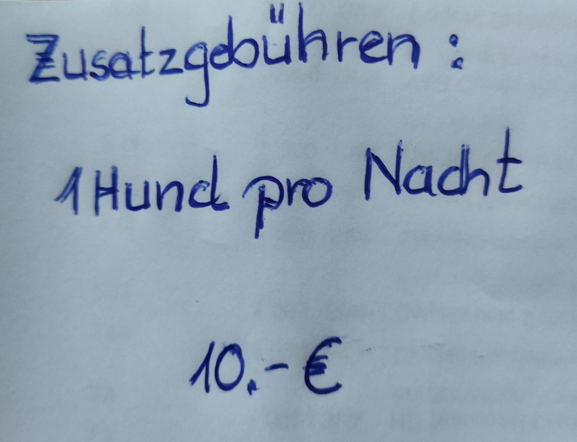Aussergewoehnliche Atelierferienwohnung Mit Balkon An Der Donau Winzer Exterior foto